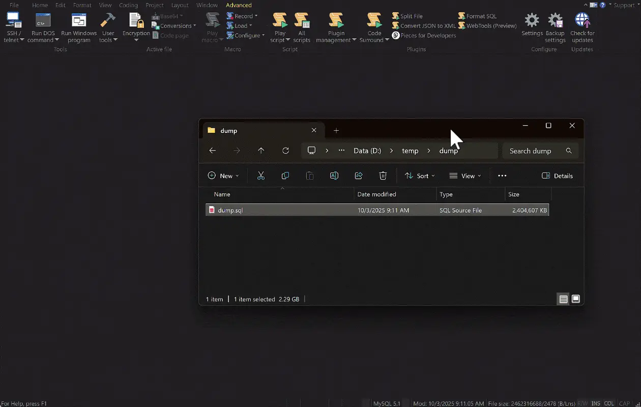 UltraEdit 编辑超大文件